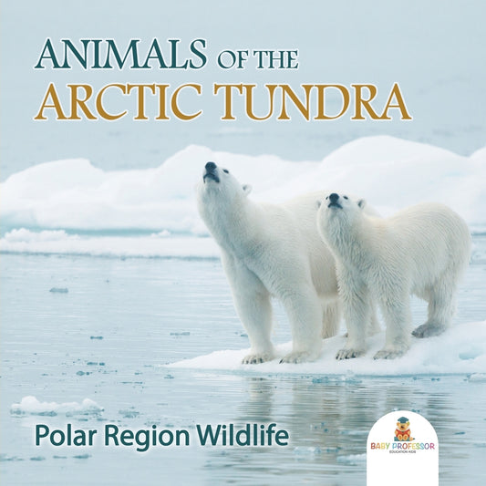 Animals of the Arctic Tundra: Polar Region Wildlife