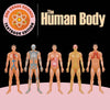 3rd Grade Science: The Human Body | Textbook Edition
