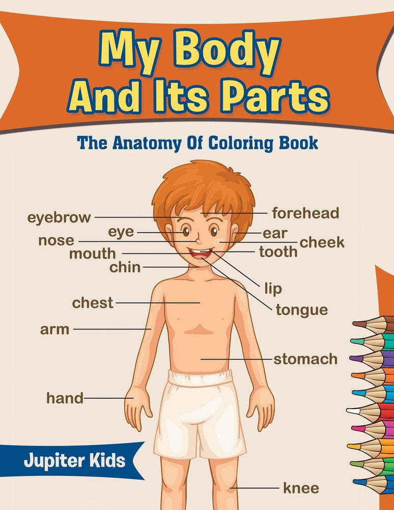 My Body And Its Parts: The Anatomy Of Coloring Book