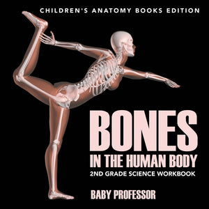 Bones in The Human Body: 2nd Grade Science Workbook | Childrens Anatomy Books Edition
