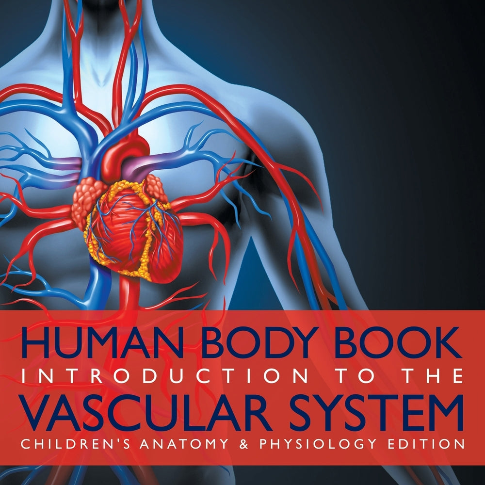 Human Body Book | Introduction to the Vascular System | Childrens Anatomy & Physiology Edition