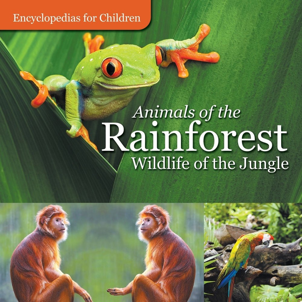 Animals of the Rainforest |  Wildlife of the Jungle  | Encyclopedias for Children