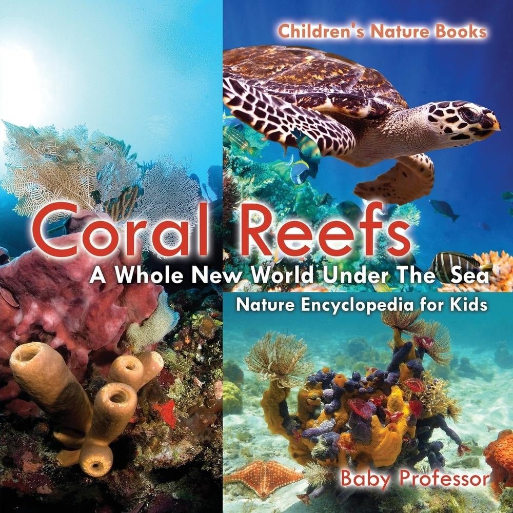 Coral Reefs : A Whole New World Under The Sea - Nature Encyclopedia for Kids | Children's Nature Books