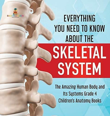 Image of Everything You Need to Know About the Skeletal System - The Amazing Human Body and Its Systems Grade 4 - Children's Anatomy Books