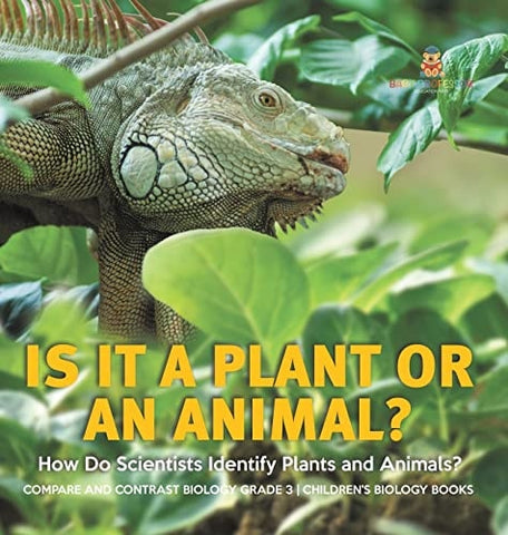Image of Is It a Plant or an Animal? How Do Scientists Identify Plants and Animals? Compare and Contrast Biology Grade 3 Children's Biology Books