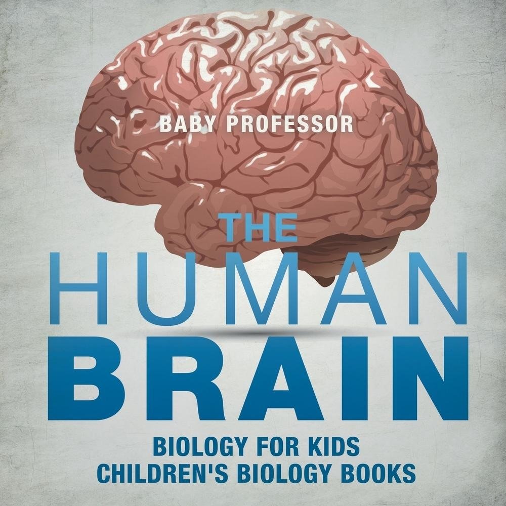 The Human Brain - Biology for Kids | Children's Biology Books