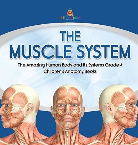The Muscle System - The Amazing Human Body and Its Systems Grade 4 - Children’s Anatomy Books