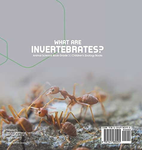 What Are Invertebrates? Animal Science Book Grade 3 Children’s Zoology Books