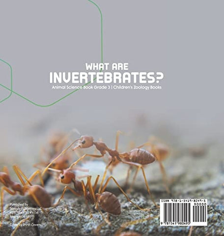 Image of What Are Invertebrates? Animal Science Book Grade 3 Children’s Zoology Books